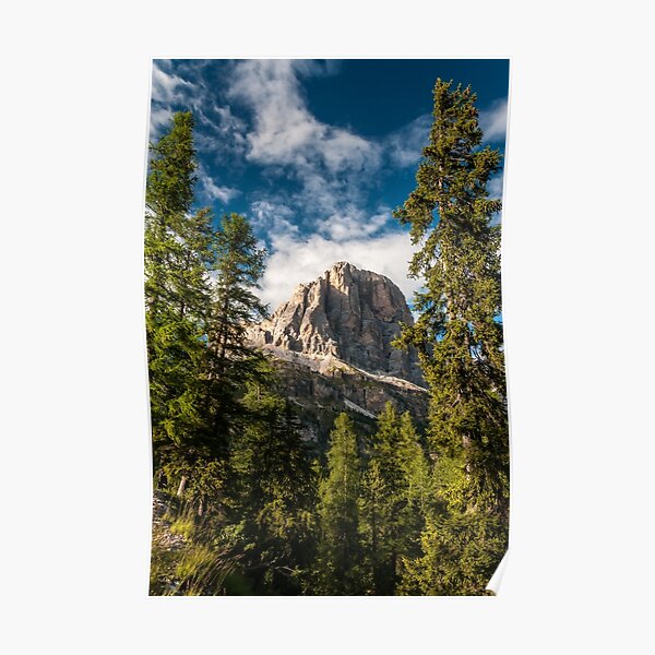 Between two trees Poster