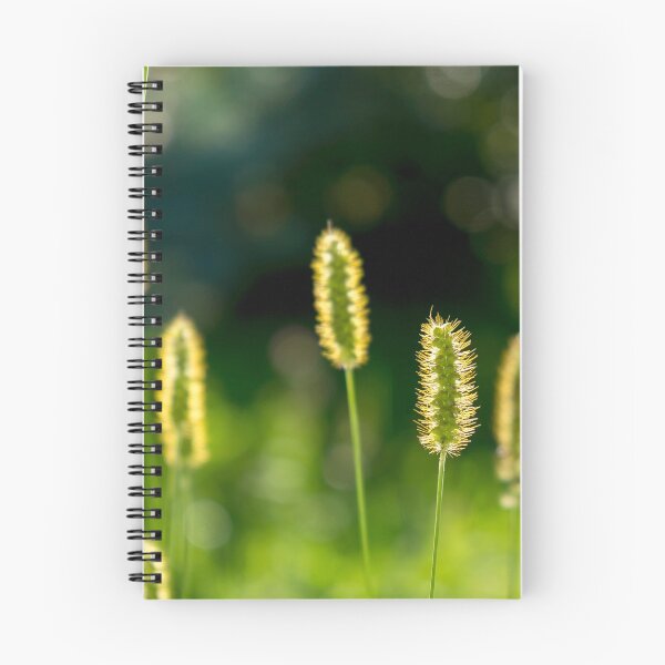 Item preview, Field flowers photographed in Bucegi mountains, Romania. Spring day designed and sold by photonxt.