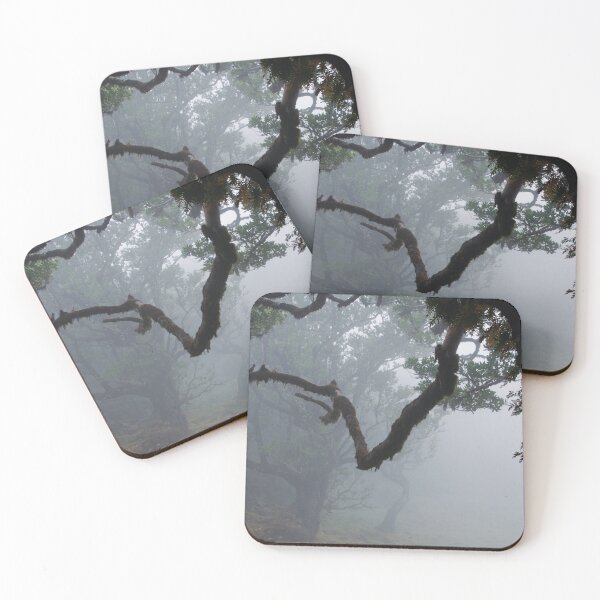 Item preview, Misty trees in a madeiran forest designed and sold by Bandahack.