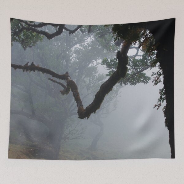 Item preview, Misty trees in a madeiran forest designed and sold by Bandahack.