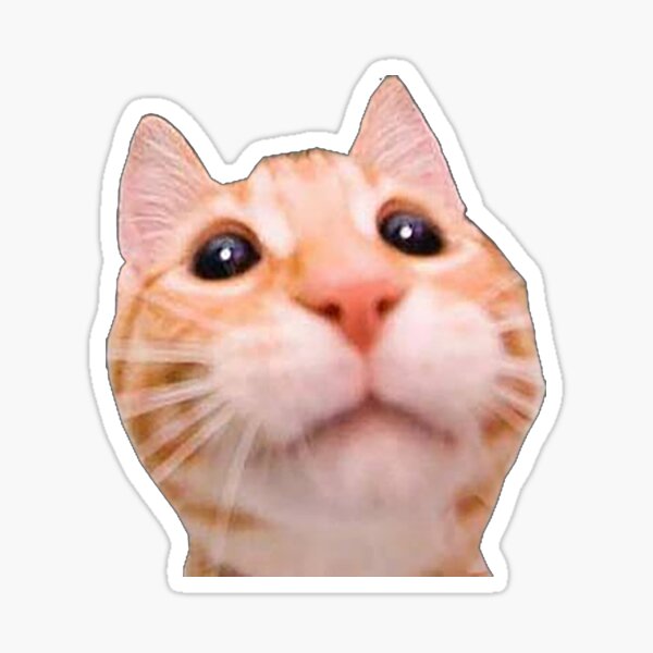 Dj cat meme sticker | Poster