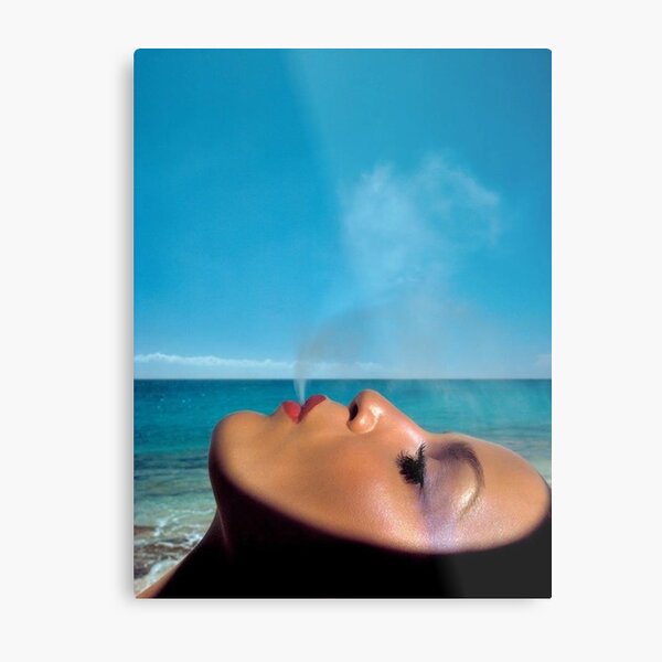 Flume Metal Print