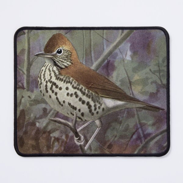 Item preview, Wood Thrush designed and sold by HATABNA.