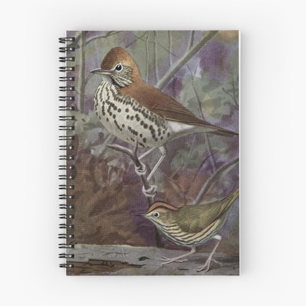 Item preview, Wood Thrush designed and sold by HATABNA.