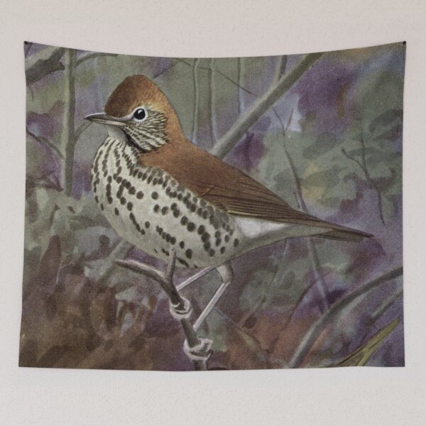 Item preview, Wood Thrush designed and sold by HATABNA.