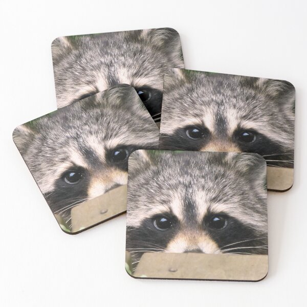 Item preview, Shyly Hoping designed and sold by Jean Gregory Evans.