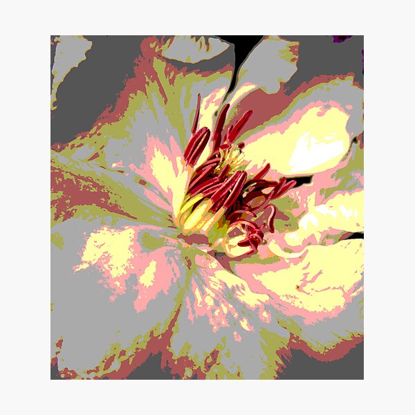 Item preview, Candy Flower designed and sold by Rachel Stephens.