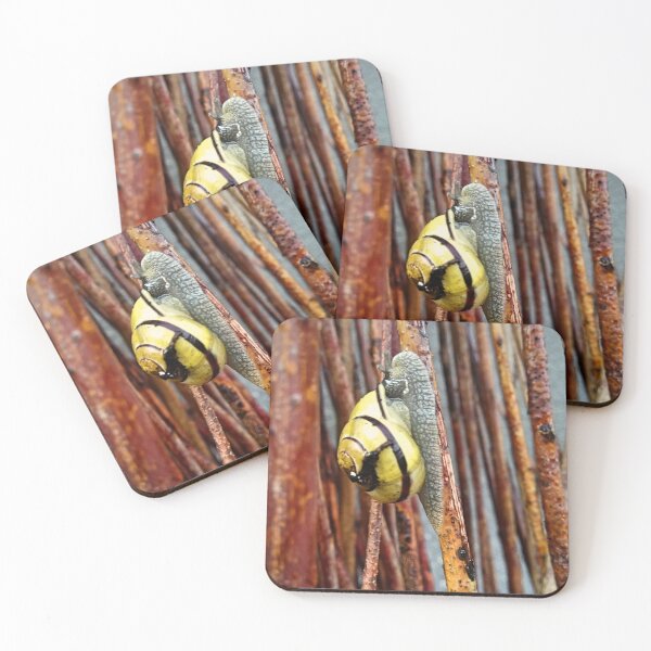 Artikelvorschau, Schnecke auf Korbweide hautnah entworfen und verkauft von AdioraStore.
