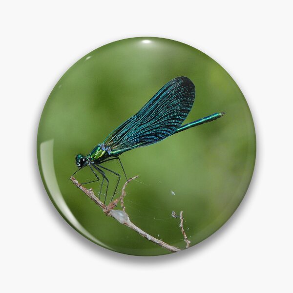 Item preview, r481 / finition 2022:  Libellules - Dragonflys  (c)(h)  Okaio Créations  Olavia-Olao designed and sold by o.okaïo.