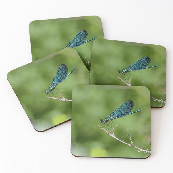 Item preview, r481 / finition 2022:  Libellules - Dragonflys  (c)(h)  Okaio Créations  Olavia-Olao designed and sold by o.okaïo.