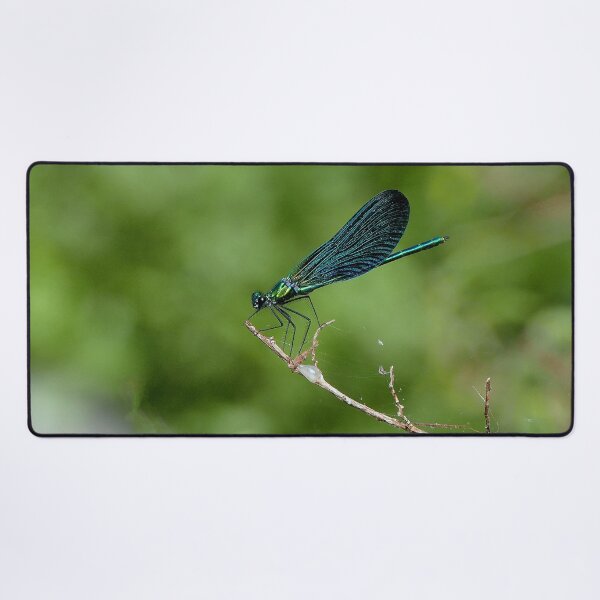 Item preview, r481 / finition 2022: Libellules - Dragonflys (c)(h) Okaio Créations Olavia-Olao designed and sold by o.okaïo.