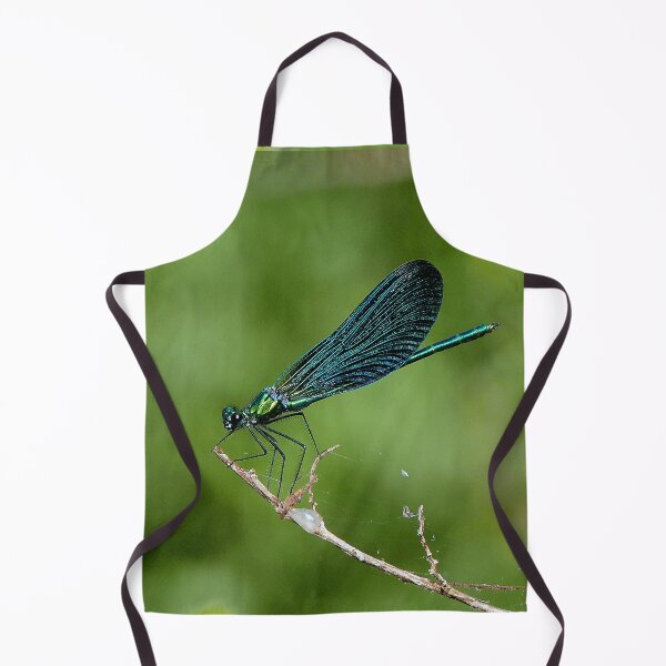 Item preview, r481 / finition 2022:  Libellules - Dragonflys  (c)(h)  Okaio Créations  Olavia-Olao designed and sold by o.okaïo.