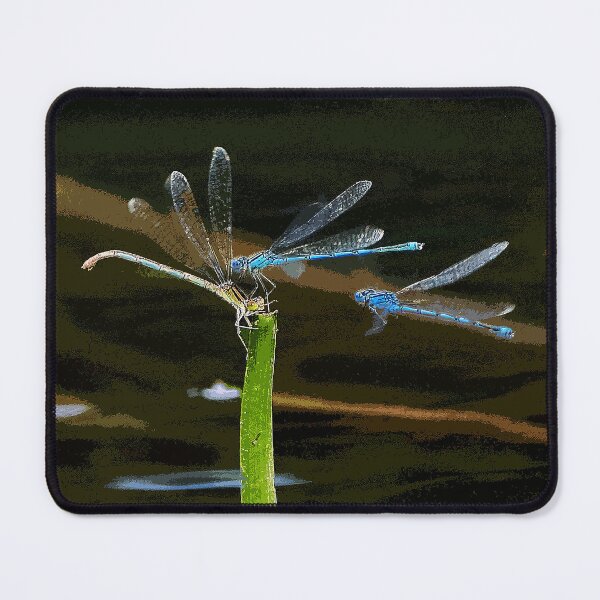 Item preview, r480 / finition 2022: Like in a dragonfly dream - Comme dans un rêve de libellules  (c)(h)  Okaio Créations  Olavia-Olao designed and sold by o.okaïo.