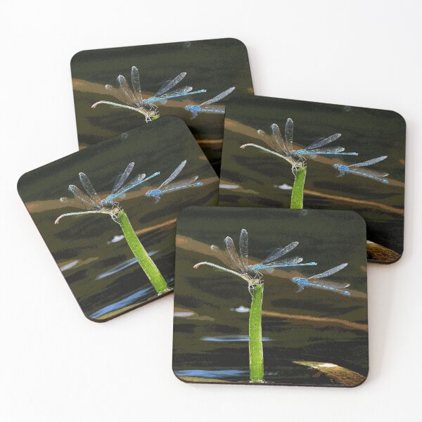 Item preview, r480 / finition 2022: Like in a dragonfly dream - Comme dans un rêve de libellules  (c)(h)  Okaio Créations  Olavia-Olao designed and sold by o.okaïo.