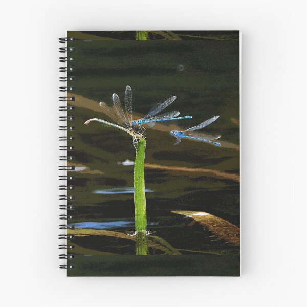 Item preview, r480 / finition 2022: Like in a dragonfly dream - Comme dans un rêve de libellules  (c)(h)  Okaio Créations  Olavia-Olao designed and sold by o.okaïo.