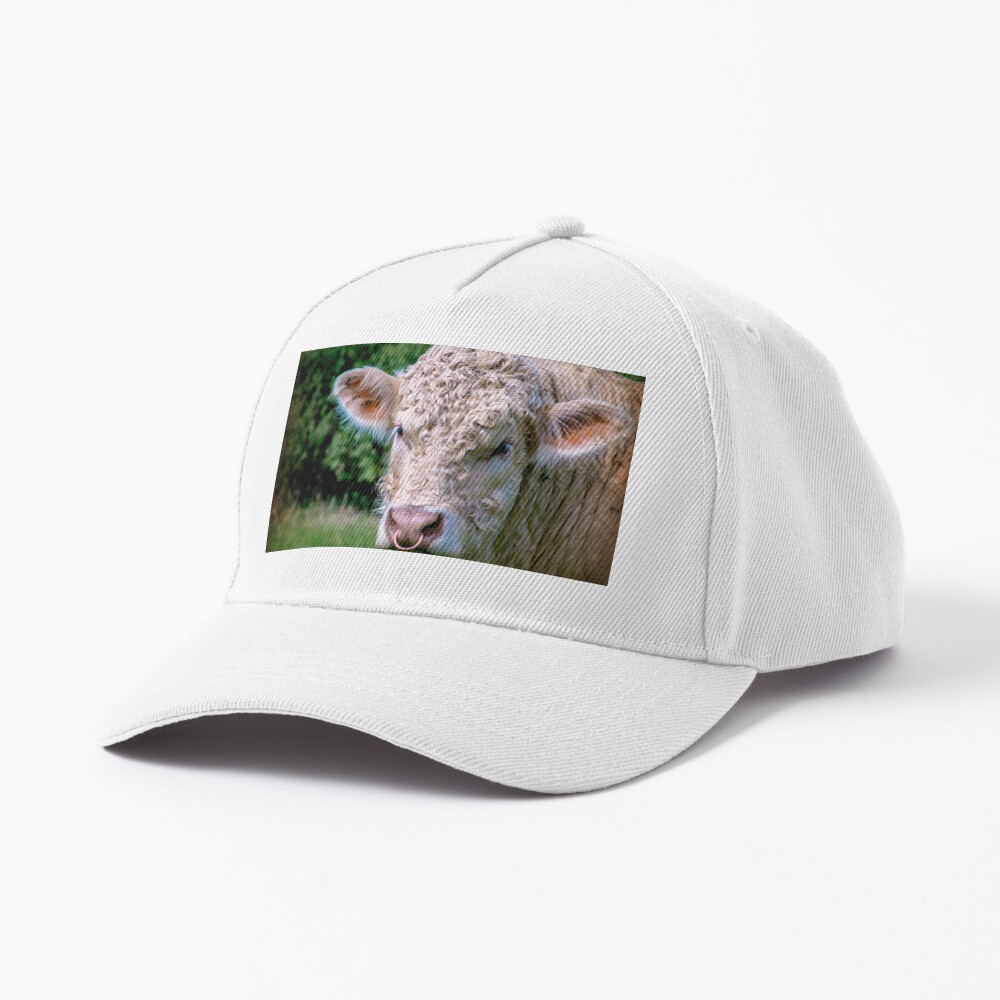 Item preview, Baseball Cap designed and sold by ScenicViewPics.
