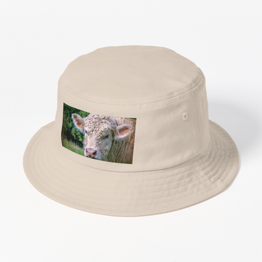Item preview, Bucket Hat designed and sold by ScenicViewPics.