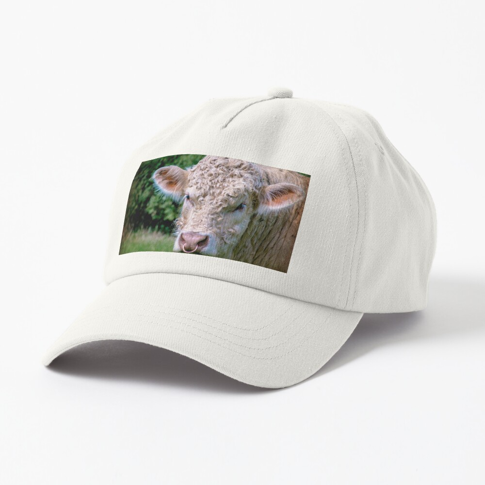 Item preview, Dad Hat designed and sold by ScenicViewPics.