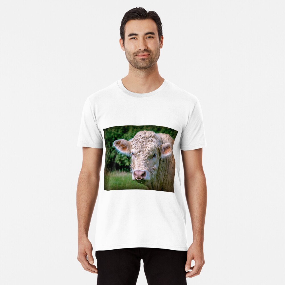 Item preview, Premium T-Shirt designed and sold by ScenicViewPics.