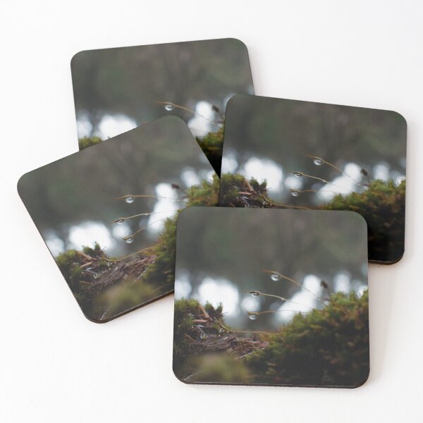 Item preview, wet forest designed and sold by Bandahack.