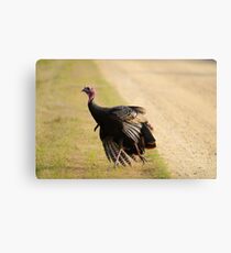 turkey time Metal Print
