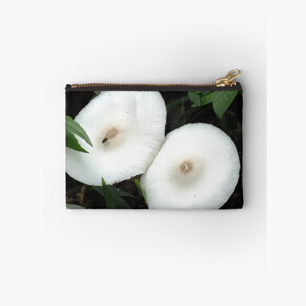 Item preview, Flying Visit, White fungi, Singapore designed and sold by sandysartstudio.