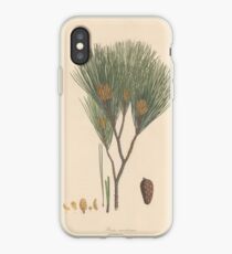 Botanische Kiefer iPhone-Hülle & Cover