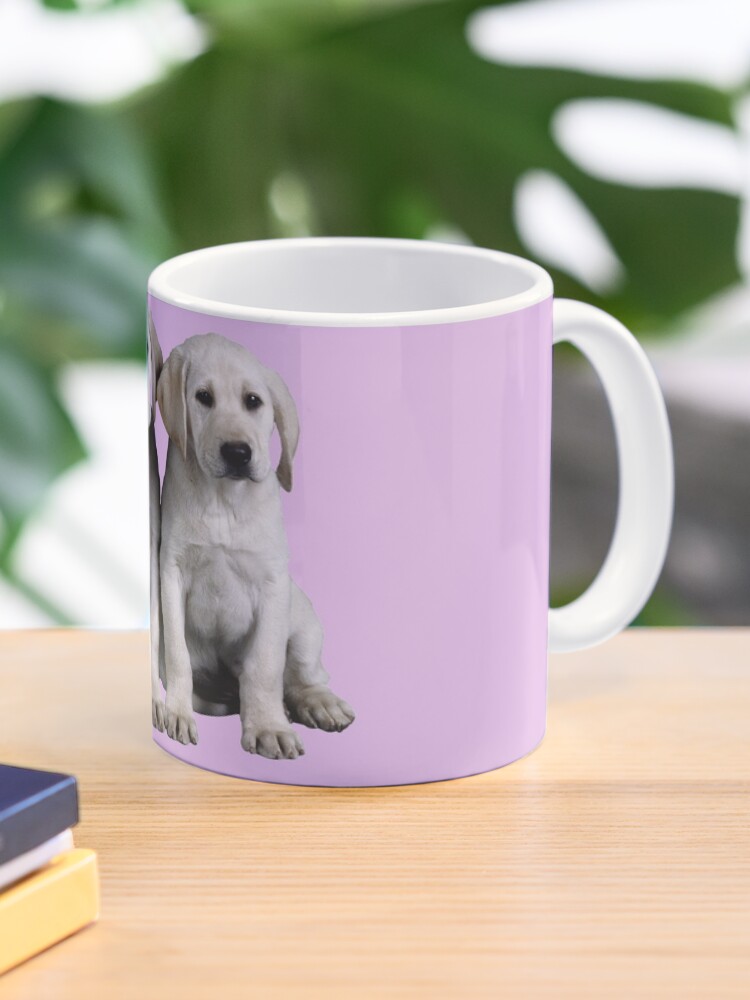 mug puppies
