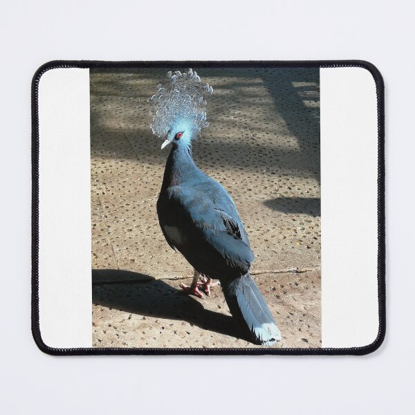 Item preview, Victoria Crowned Pigeon designed and sold by panda762.