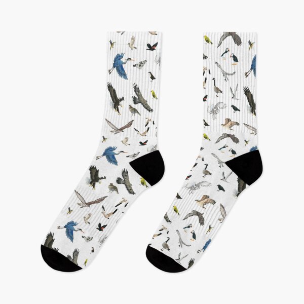 Item preview, Birds of Canada designed and sold by Corinna Arauner.