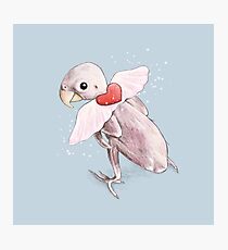 Rhea - Flying Free Photographic Print