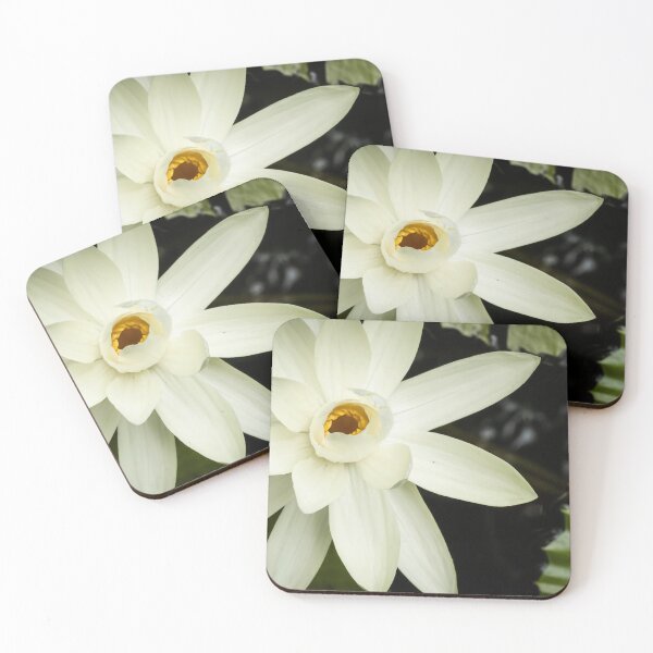 Item preview, Art floral Digital Designs, the Arts of flowers in Atlanta, Georgia. designed and sold by PhotoCreationXP.
