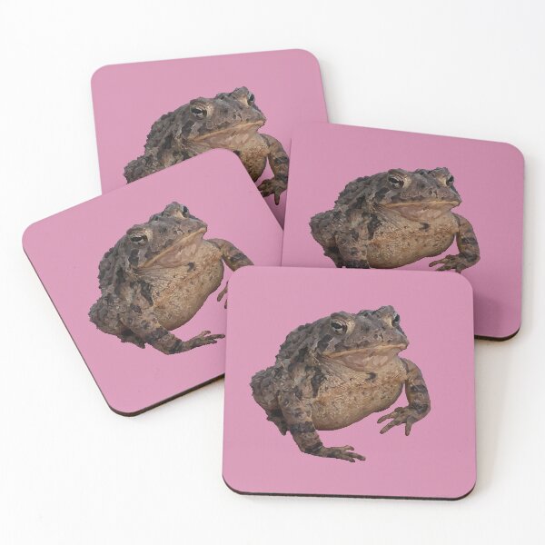 Item preview, American Toad ; Anaxyrus americanus designed and sold by gaia-crypt.