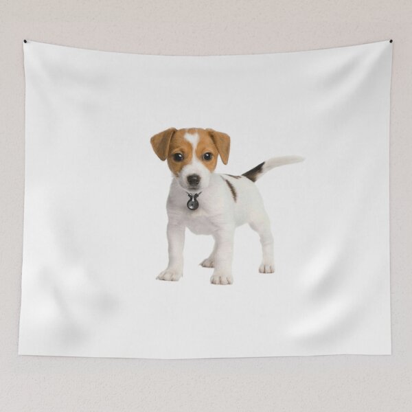 Item preview, cut dog pet bowl designed and sold by olydesigner.
