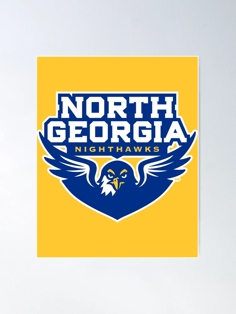 University Of North Georgia Gartenflagge – UNG Nighthawks, Doppelseitig, Wetterfest!