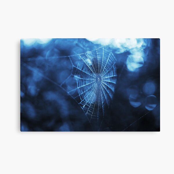 Item preview, Spider Web in Blue designed and sold by Brooke T Ryan Photographic Art.