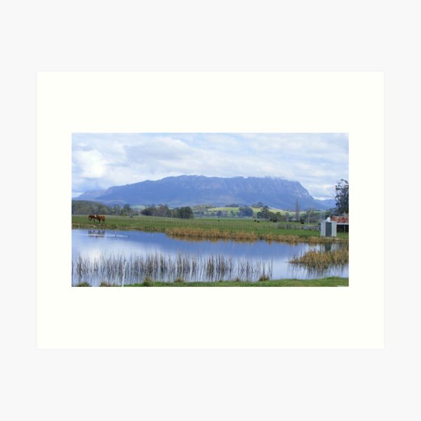Mt Roland from Sheffield's town border Art Print