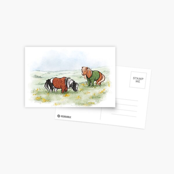 Shetlands in Sweaters Postcard