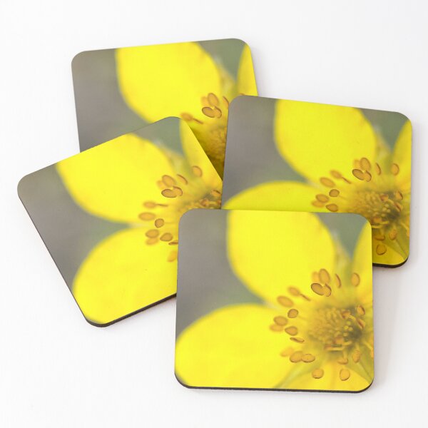 Item preview, Potentilla designed and sold by Jason Tompkins.