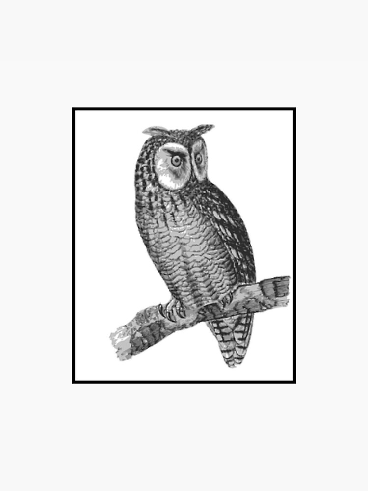 "Black and white owl poster " Sticker for Sale by Trilala Redbubble