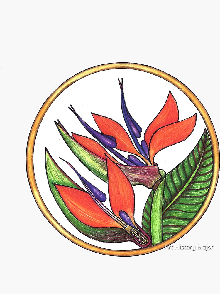 "BIRD OF PARADISE FLOWERS " Sticker for Sale by arthistorymajor | Redbubble