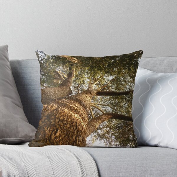 Item preview, Cedar of Lebanon Tree designed and sold by pluspixels.