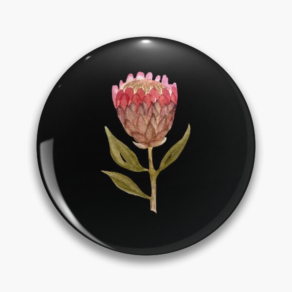 Item preview, Watercolor protea illustration on black background  designed and sold by Yana Mustafina | Boho Soulful Designs.