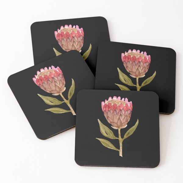 Item preview, Watercolor protea illustration on black background  designed and sold by Yana Mustafina | Boho Soulful Designs.