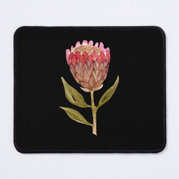 Item preview, Watercolor protea illustration on black background  designed and sold by Yana Mustafina | Boho Soulful Designs.