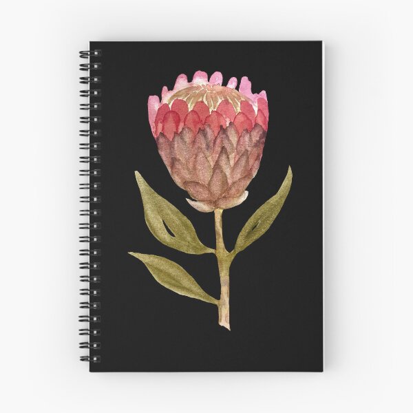 Item preview, Watercolor protea illustration on black background  designed and sold by Yana Mustafina | Boho Soulful Designs.
