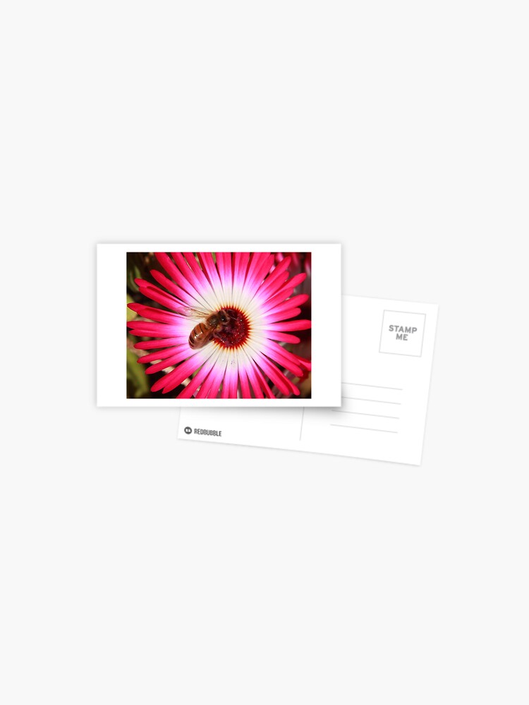Thumbnail 1 of 2, Postcard, Bee having a feed designed and sold by mistered.