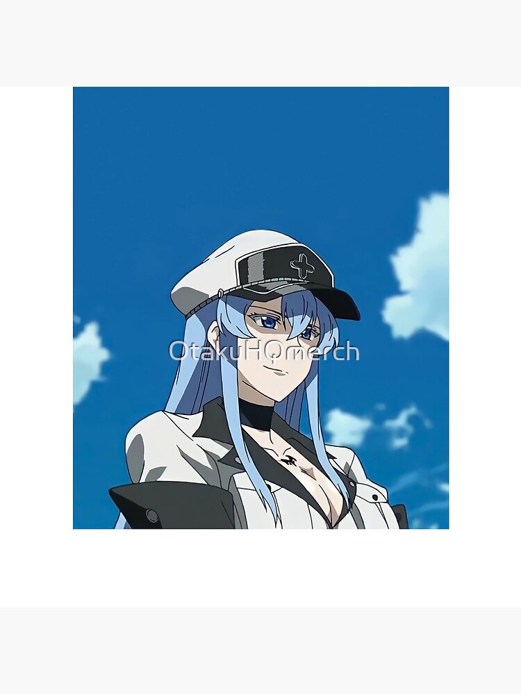 Akame ga Kill - Esdeath - Akame - Pin