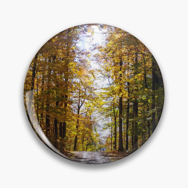 Item preview, Sunny Fall Road designed and sold by SRosuphotos.