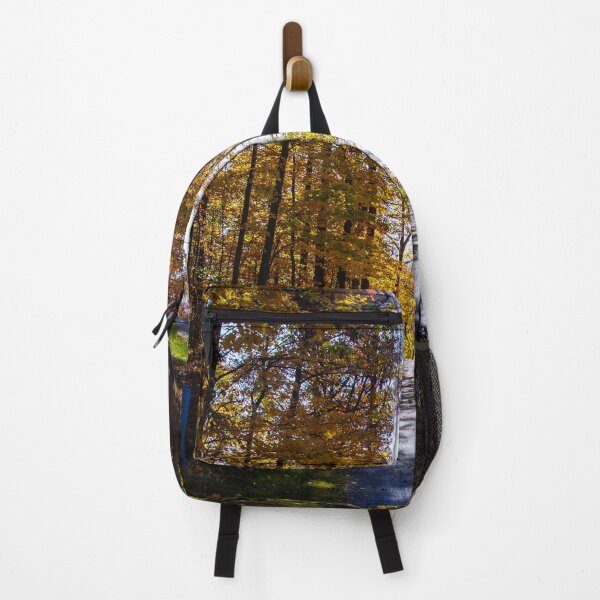 Item preview, Sunny Fall Road designed and sold by SRosuphotos.